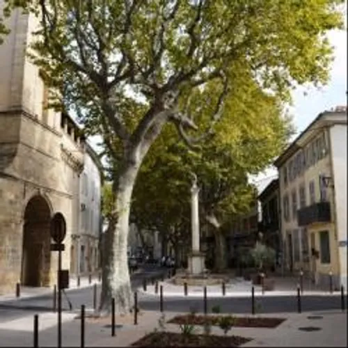 Pélissanne : un pôle économie créé pour dynamiser le commerce.