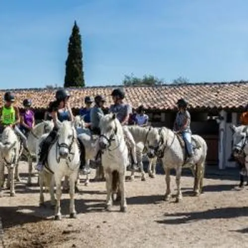 Arles : le stress de la filière équestre.