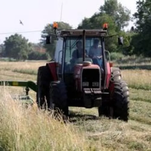 [ ECONOMIE - PAYS D'ARLES ] LA première coupe de foin de Crau bat...