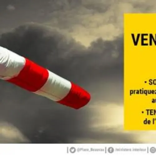 Vents violents : 2 000 Gardois toujours privés d'électricité.