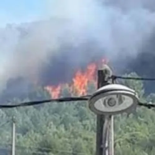 Incendie près d'Istres, un dispositif aérien engagé.