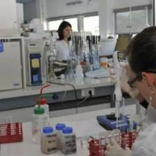 [REGION]: les laboratoires camarguais sont pris d'assaut pour faire...