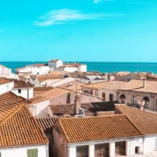 [COVID-19]: 1er jour du reconfinement en Camargue.