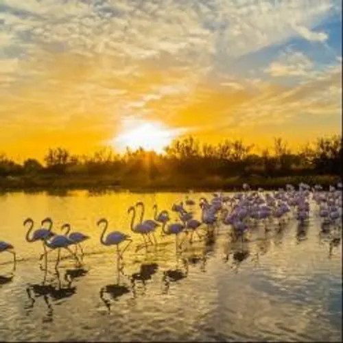 [METEO]: les températures commencent petit à petit à baisser en...