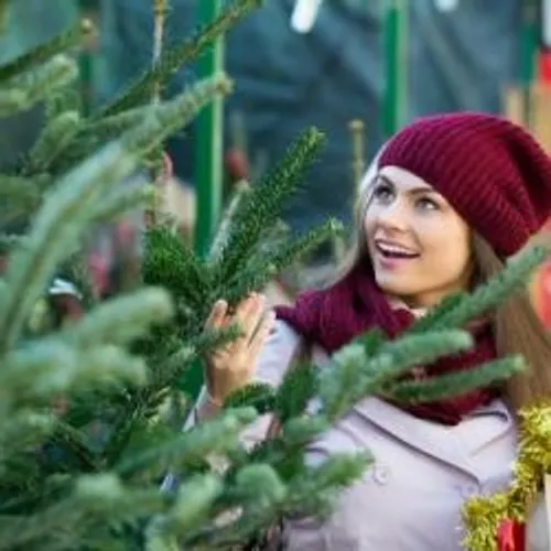 [REGION]: ce week-end, Beaucoup ont acheté et surtout décoré leur...