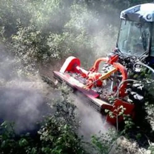 [SOCIETE]: Dans les Alpilles,  10 % des terrains agricoles sont en...
