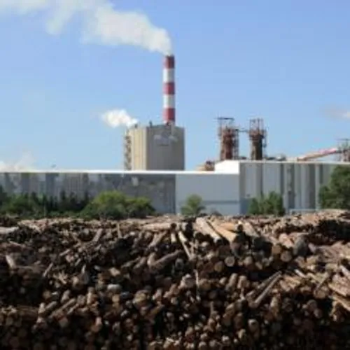 [ECONOMIE]: L’usine Fibre Excellence à Tarascon, a un nouveau...