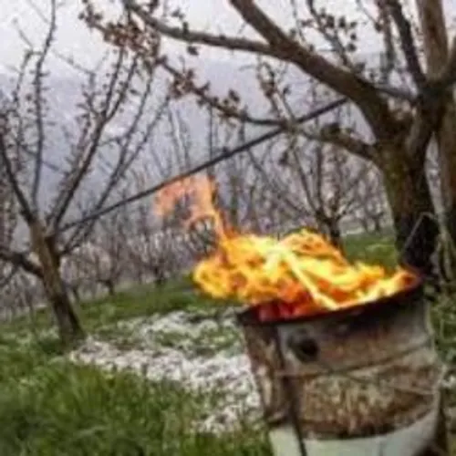 [CLIMAT]: Les alarmes automatiques des agriculteurs n’ont pas sonné...