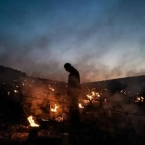 [ECOLOGIE]: La présidente des BdR Martine Vassal était sur une...