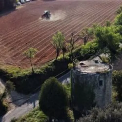 [AGRICULTURE]: On replante des vignes sur les Costières.