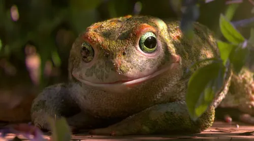 Ecole MOPA: "Garden Party" un film d'animation 3D à la Arlésienne...