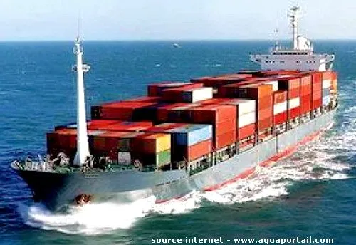 Marseille - Faits divers : 500 kg de cocaïne saisie sur le Port de...