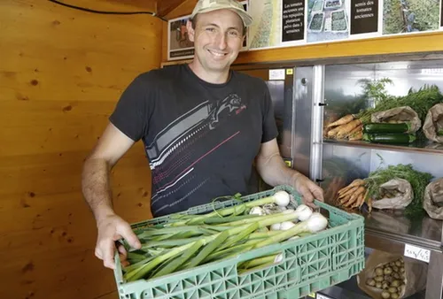 Arles : son distributeur automatique de fruits et légumes fait un...