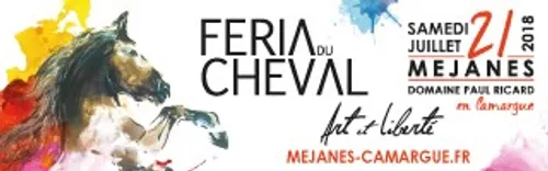 La Féria du Cheval le samedi 21 Juillet au Domaine de Méjanes.