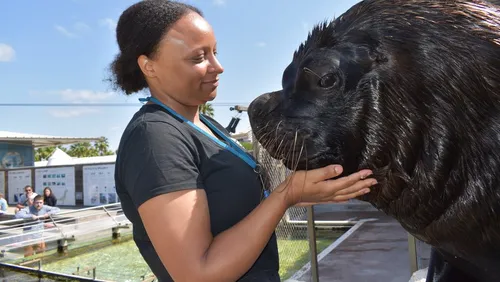 [ BON PLAN SORTIE - GRAU DU ROI ] Au Grau-du-Roi, le Seaquarium...