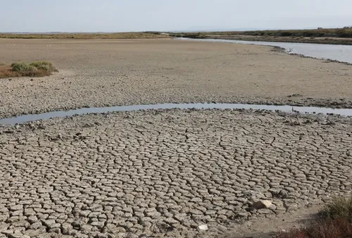 [ENVIRONNEMENT]: face à la sécheresse, les étangs de Camargue sont...