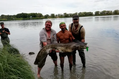 [ PEOPLE - REGION ]: Ça tourne pour Canto.