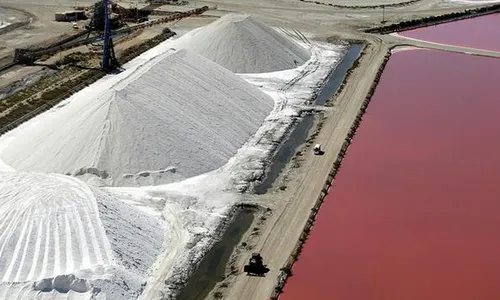 [ CULTURE - CAMARGUE ] IGP européenne : une victoire pour la...