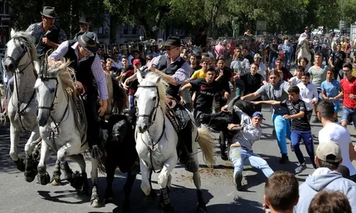[ ECONOMIE - ARLES ] l'appel à la mobilisation face à la menace sur...
