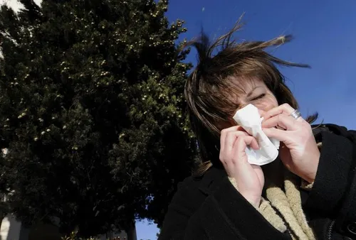 [ ALERTE INFO - BOUCHES DU RHONE ] Allergies : les Bouches du Rhône...