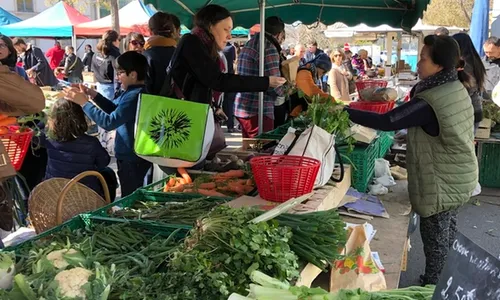 À Arles, le marché des Lices résiste au virus.