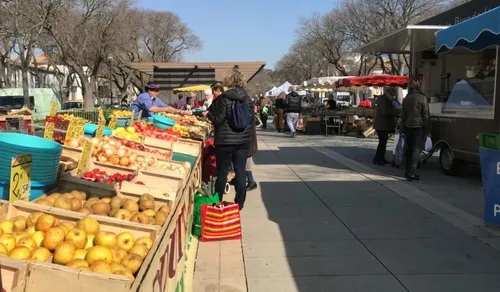 [ SOCIETE - NIMES ] Le maire demande la réouverture des marchés...