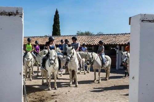 Arles : le stress de la filière équestre.