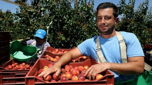 [ ECONOMIE - ARLES ] les producteurs d'abricots en appellent aux...