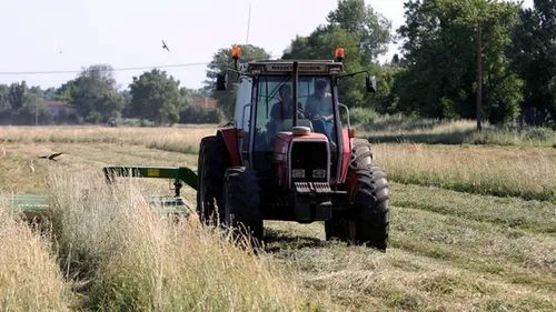 [ ECONOMIE - PAYS D'ARLES ] LA première coupe de foin de Crau bat...
