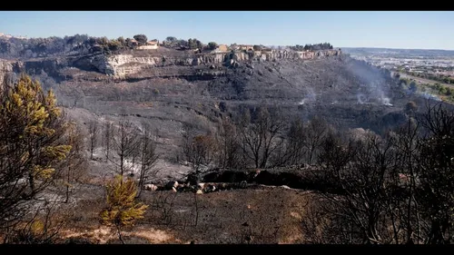 [FAITS-DIVERS]: Feu de Vitrolles : "On a eu la peur de notre vie !".