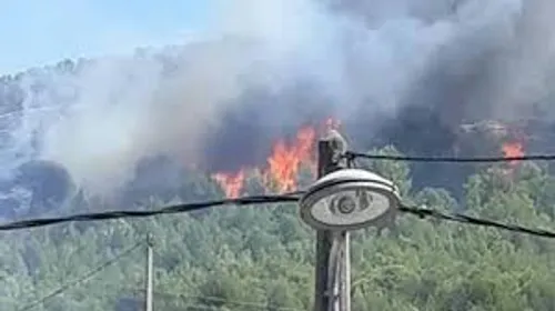 Incendie près d'Istres, un dispositif aérien engagé.