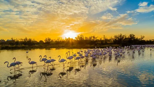 [METEO]: les températures commencent petit à petit à baisser en...