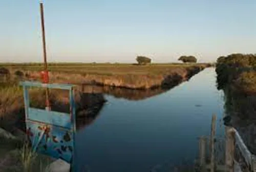 [ENVIRONNEMENT]: Aujourd'hui, c'est la  journée mondiale de l’eau