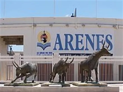 [TRADITION]: Plus de 50 000 téléspectateurs les yeux rivés sur les...