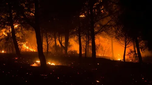 [REGION]: le premier gros feu de la saison s’est déclenché.