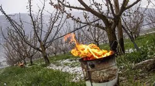 [CLIMAT]: Les alarmes automatiques des agriculteurs n’ont pas sonné...