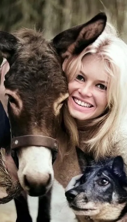La vente des objets personnels de Brigitte Bardot frôle le million...