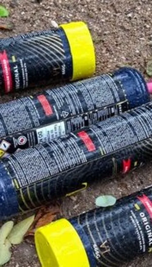 Haut-Rhin : une association est lancée pour sensibiliser aux...