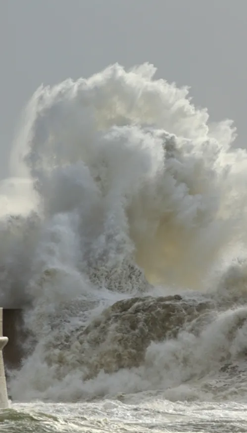 Tempête Goretti : des équipes Enedis de l’Est mobilisées pour...