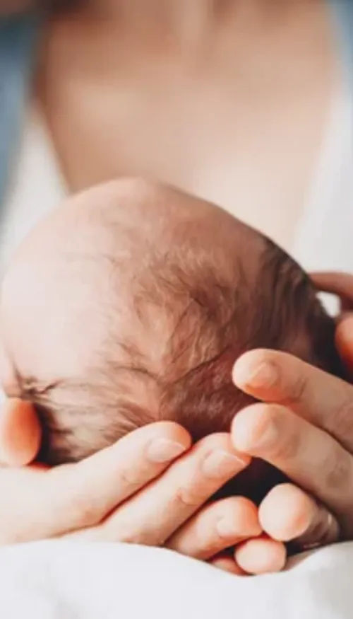 Natalité en baisse : un bouleversement durable pour l’école,...