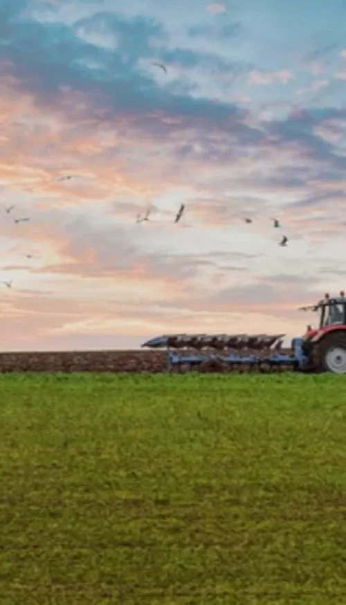 Alsace : les agriculteurs obtiennent l’annulation de la hausse de...