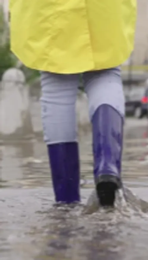 Inondations de mai 2026 : six communes du Bas-Rhin reconnues en...