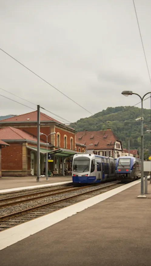 Fermeture des guichets SNCF : quatre gares alsaciennes perdent un...