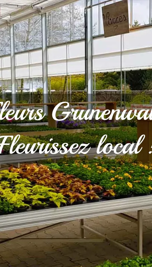 DKL & Fleurs Grunenwald : un partenariat qui fait fleurir vos envies