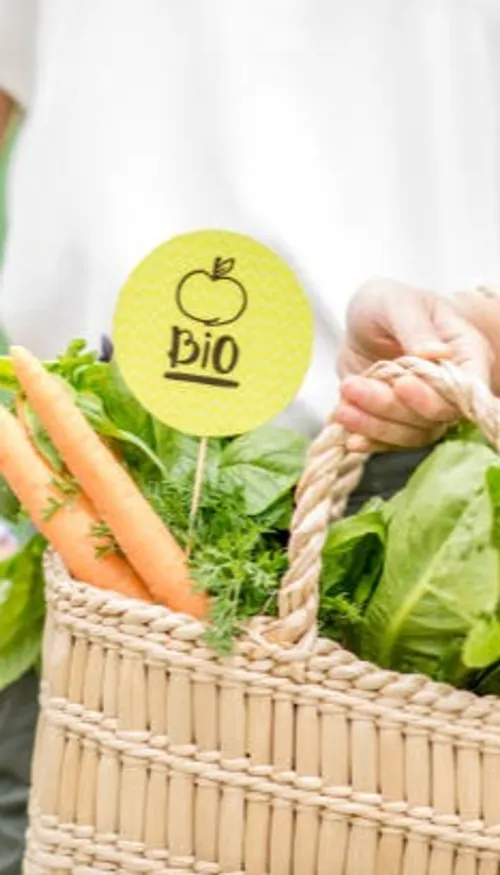 Solibio, la coopérative alsacienne qui nourrit la région en bio et...