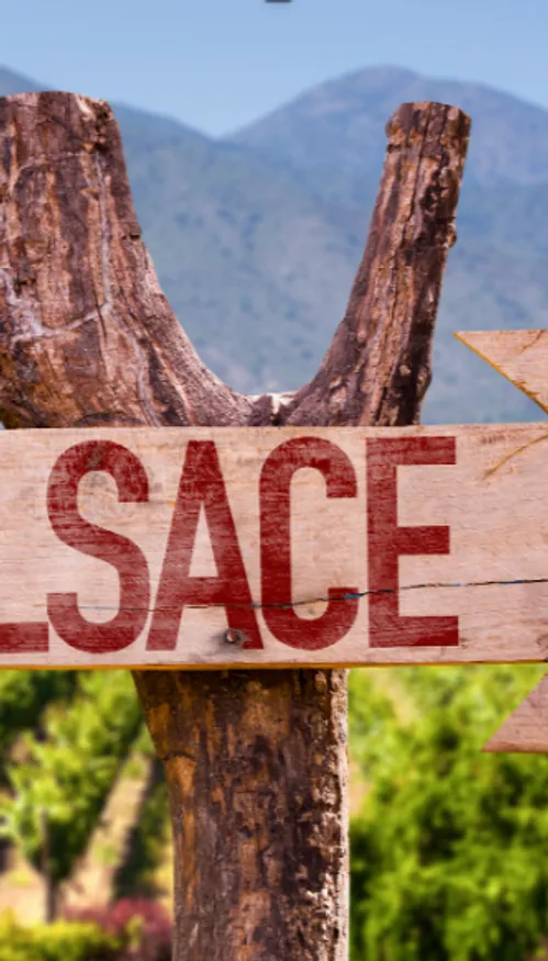 De nouveaux panneaux “Bienvenue en Alsace” installés aux entrées du...