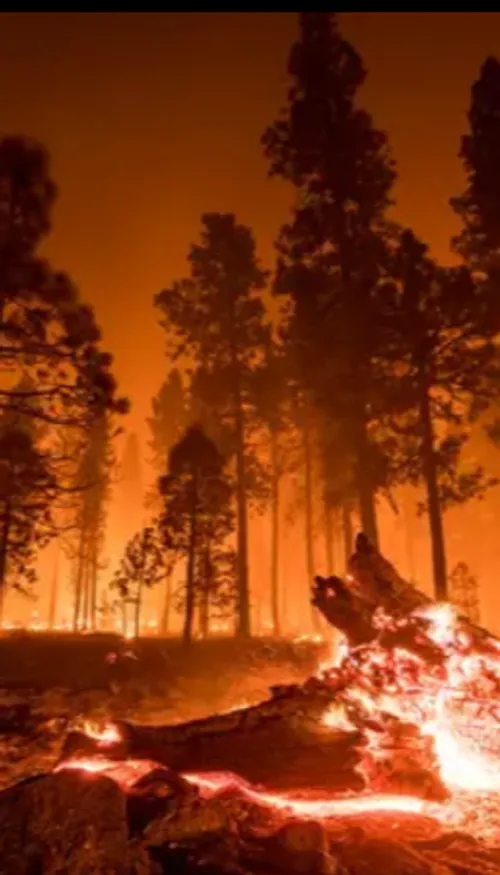 1er mai en Allemagne : vigilance accrue face au risque élevé...