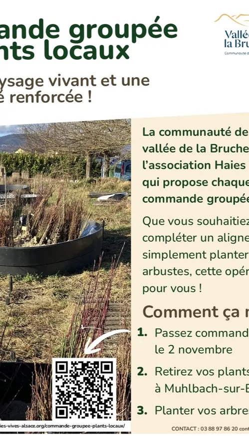 Vallée de la Bruche : une commande groupée d’arbres locaux pour...
