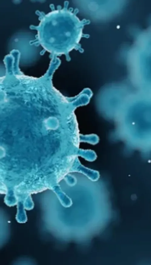 Hantavirus : pourquoi les experts écartent la comparaison avec un «...