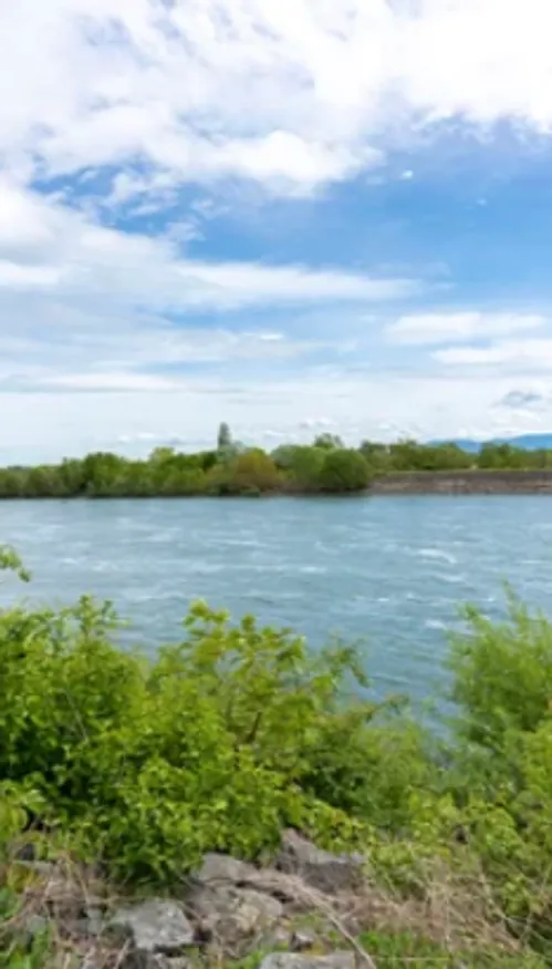 Une femme de 36 ans se noie dans un étang du Bas-Rhin malgré...